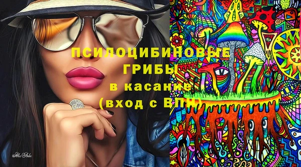 СК Богородск