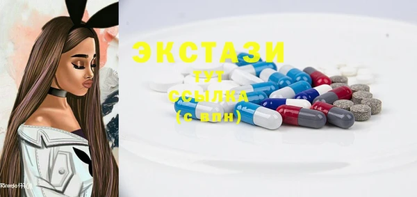 стаф Бородино