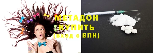 твердый Богданович