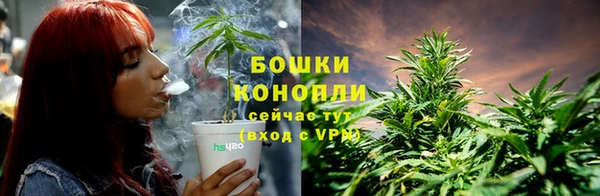 мескалин Богородицк