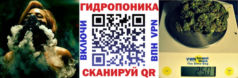 Купить закладки  Туран  Шишки марихуана ГИДРОПОН 